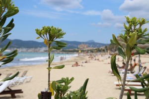 Beach Club Mallorca